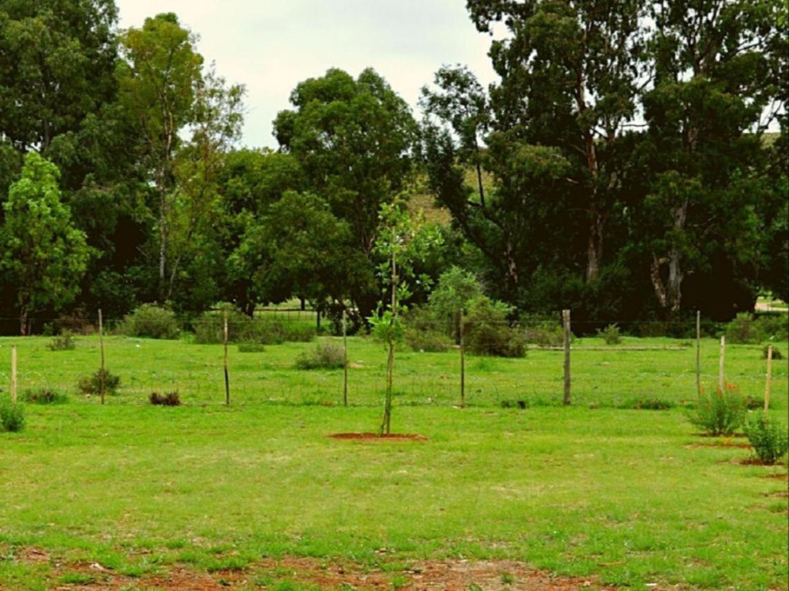 Hotel Little Farms à Colesberg Extérieur photo