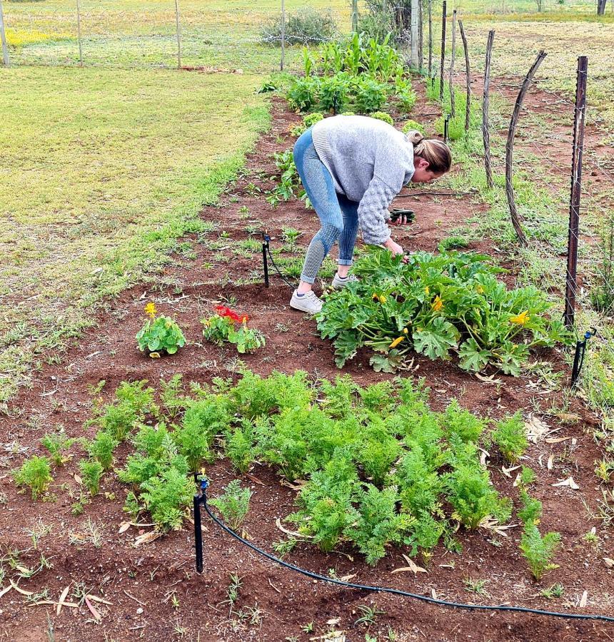 Hotel Little Farms à Colesberg Extérieur photo