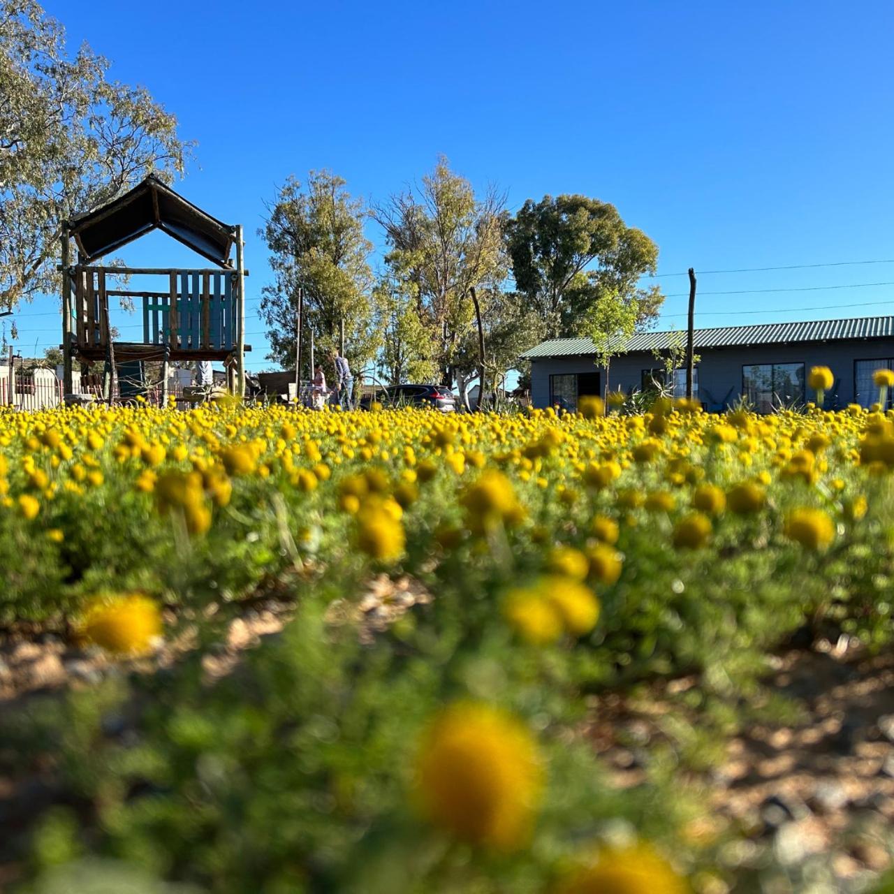 Hotel Little Farms à Colesberg Extérieur photo